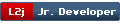 DP Junior Developer DP Junior Developer